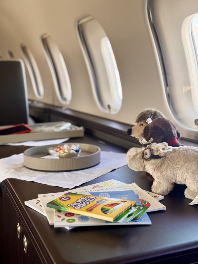 Toys and coloring books for the children on board